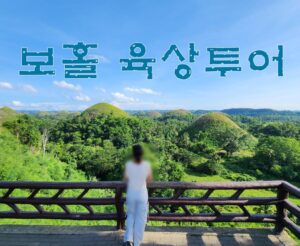 Read more about the article 보홀 여행 육상투어 코스 반딧불 체험 시간