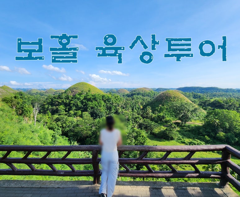 You are currently viewing 보홀 여행 육상투어 코스 반딧불 체험 시간