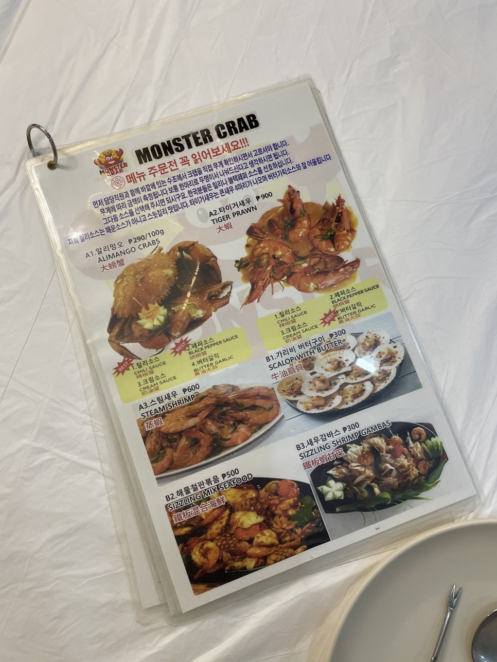 필리핀 보홀 알로나비치 크랩 맛집 몬스터크랩 후기