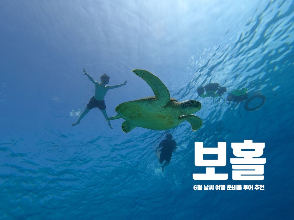 Read more about the article 6월 보홀 날씨 여행 준비물 호핑투어 육상투어 마사지 필리핀 이심 추천