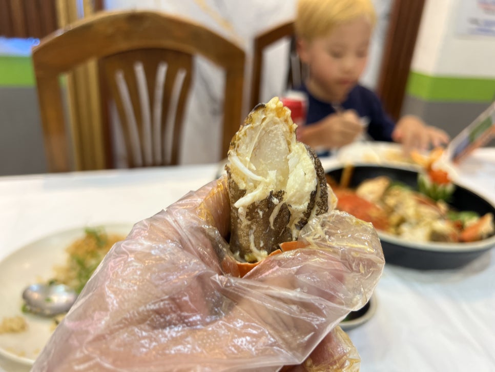 필리핀 보홀 맛집 몬스터크랩 가격, 예약, 위치, 카톡, 메뉴 등 모든 것