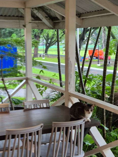 필리핀 클락 포치 porch coffee 카페에서 책 읽기