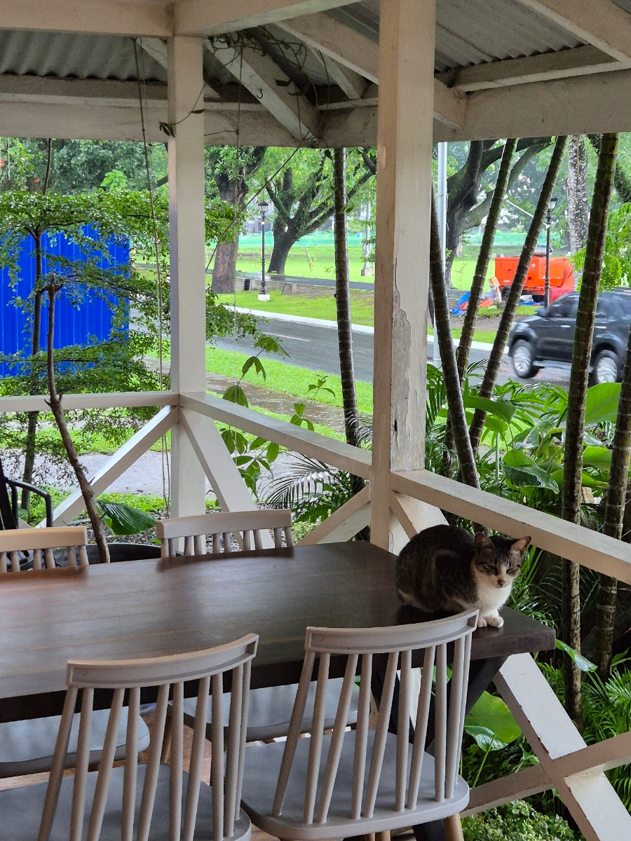 필리핀 클락 포치 porch coffee 카페에서 책 읽기