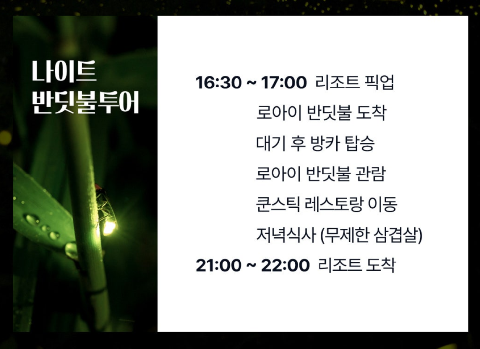 보홀 육상투어 시간 반딧불투어 가격